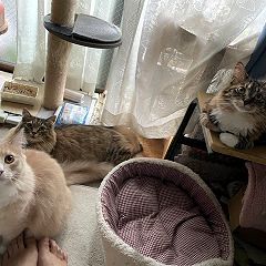 68位のイメージ