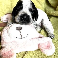 21242位のイメージ