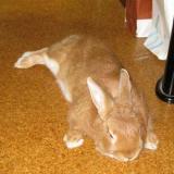 62位のイメージ