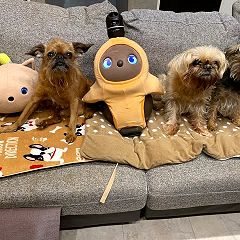 1372位のイメージ