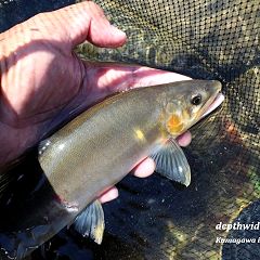 20位のイメージ