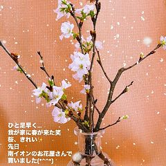 30位のイメージ