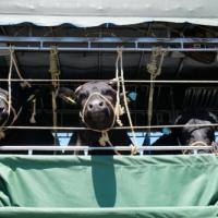 510位のイメージ