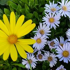 105位のイメージ