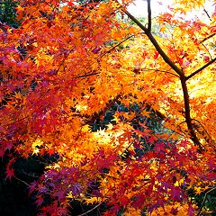 28位のイメージ