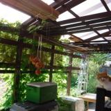 102位のイメージ