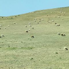 121位のイメージ