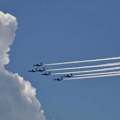 33113位のイメージ