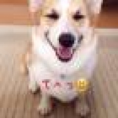 30位のイメージ