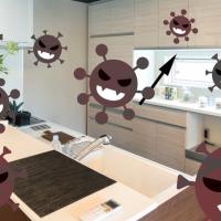 2429位のイメージ