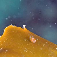 28位のイメージ