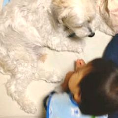 26位のイメージ