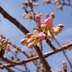 24位のイメージ