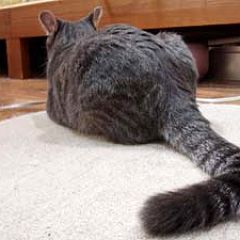 94位のイメージ