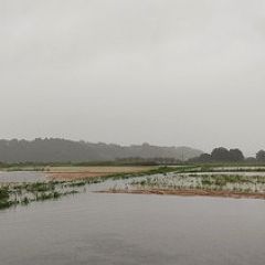 72位のイメージ