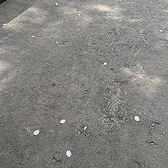 14位のイメージ