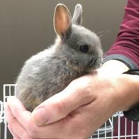 13位のイメージ