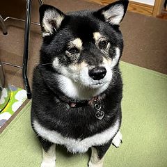 160位のイメージ