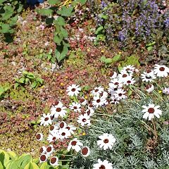 129位のイメージ