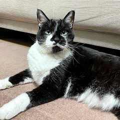 76位のイメージ