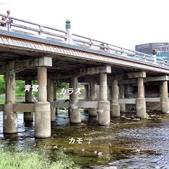 2269位のイメージ