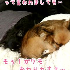 26位のイメージ