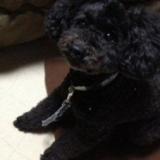 43位のイメージ