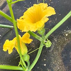 28位のイメージ