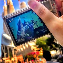 49位のイメージ