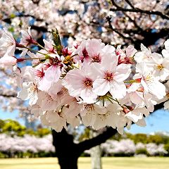 133位のイメージ