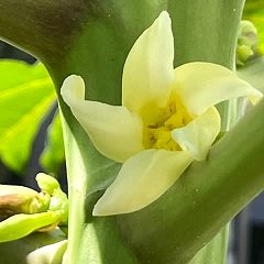 184位のイメージ