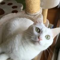 93位のイメージ