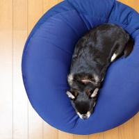 29位のイメージ