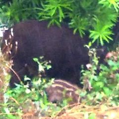 2411位のイメージ