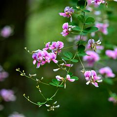 118位のイメージ