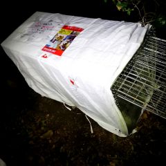 18位のイメージ