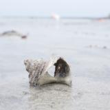 2417位のイメージ