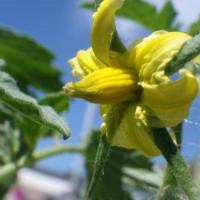 138位のイメージ