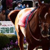 650位のイメージ