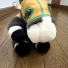 69位のイメージ