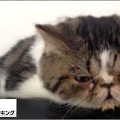 14位のイメージ