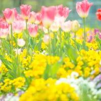 16位のイメージ