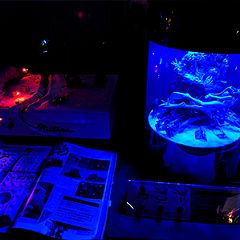 94位のイメージ