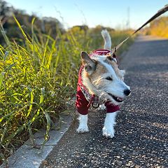 22位のイメージ