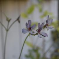 112位のイメージ