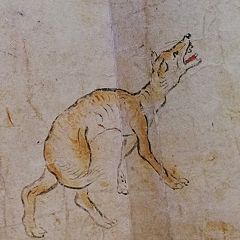 25位のイメージ