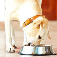 73位のイメージ