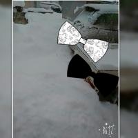 1859位のイメージ