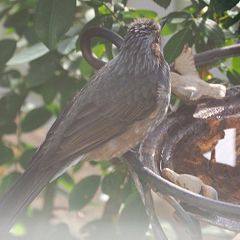 10位のイメージ