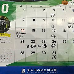 20位のイメージ